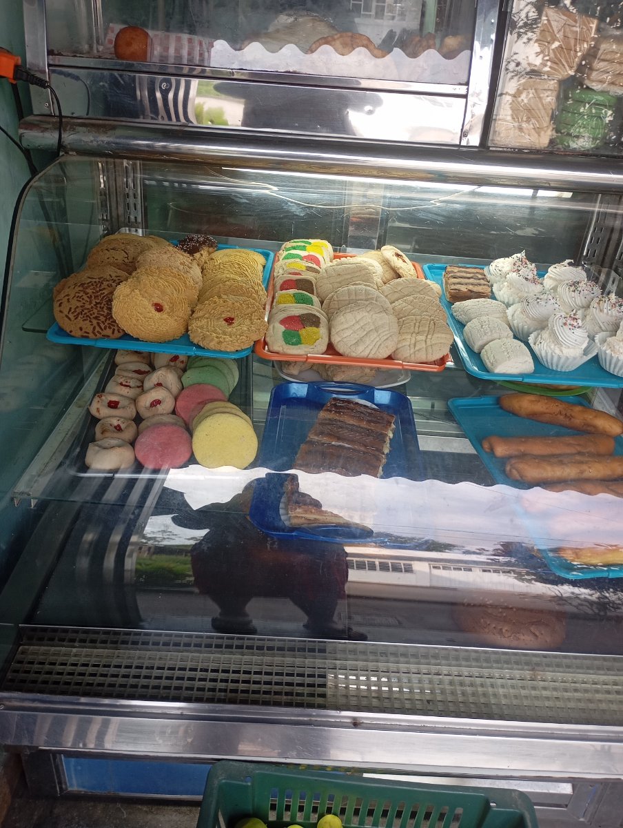 Tienda. Ana