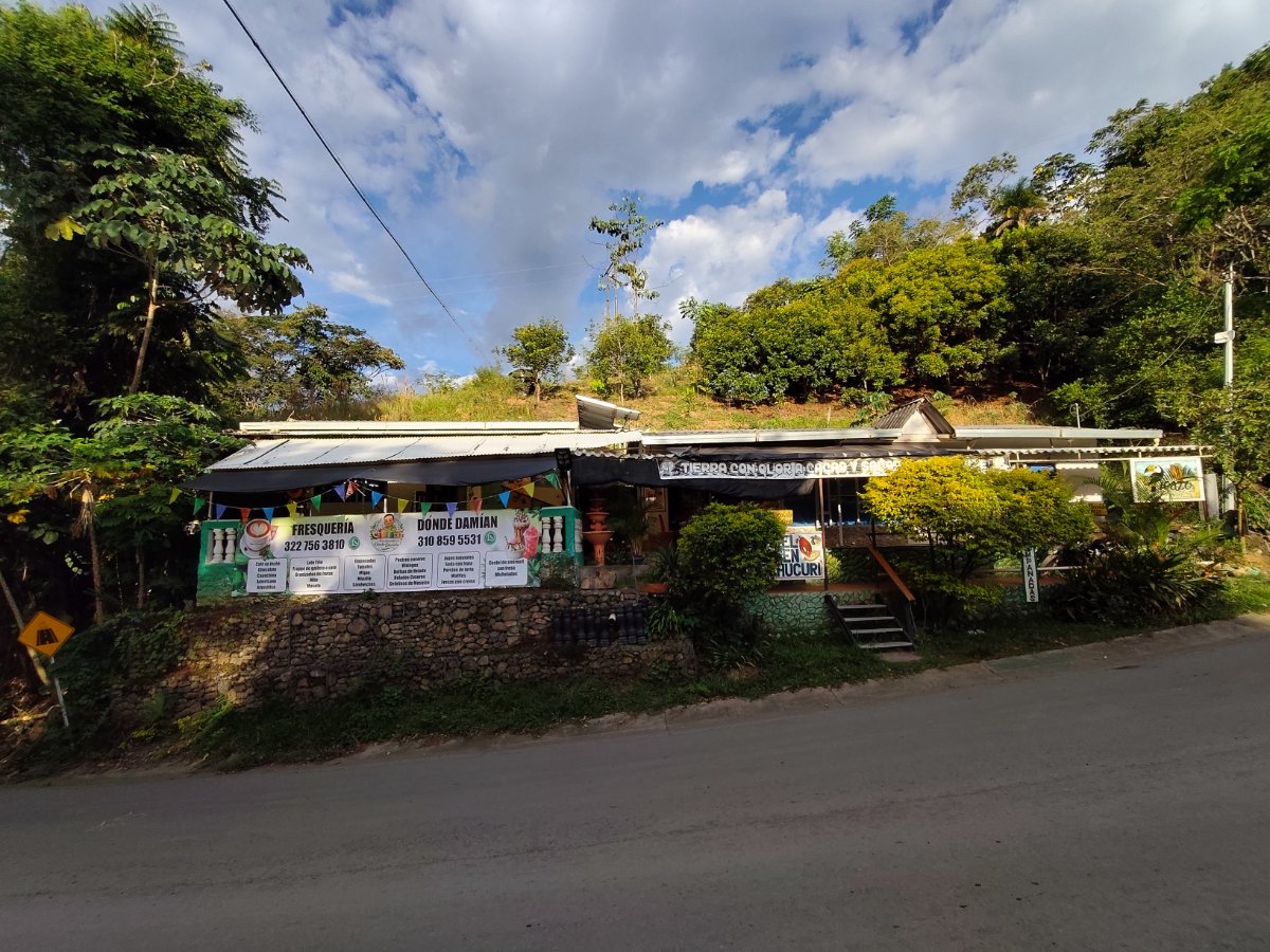 Fresqueria dónde Damian